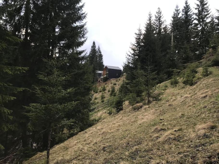 Chalet Dereva Yablunytsya